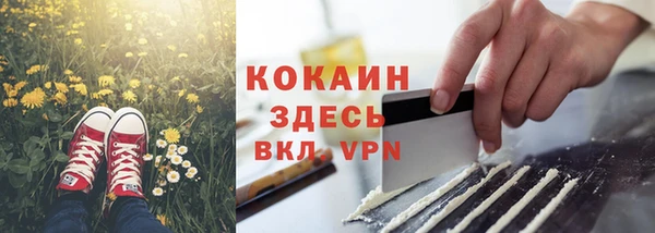 шишки Вяземский