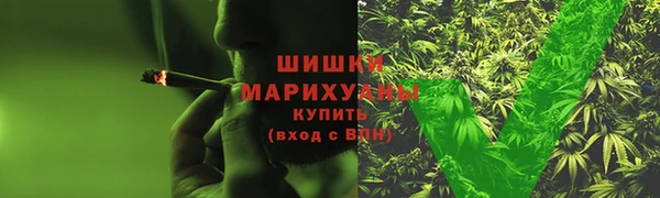 шишки Вяземский