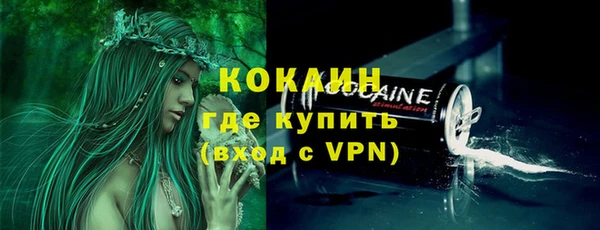 шишки Вяземский