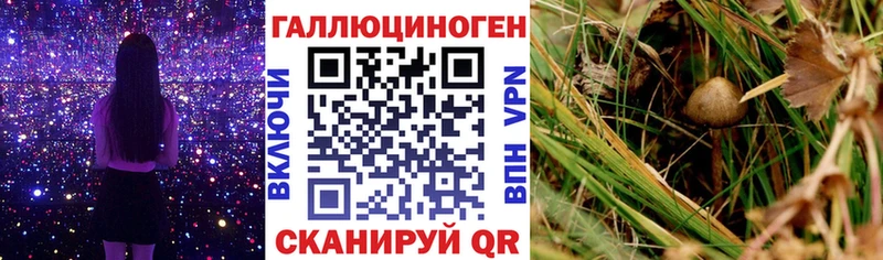 Псилоцибиновые грибы MAGIC MUSHROOMS  Дивногорск 
