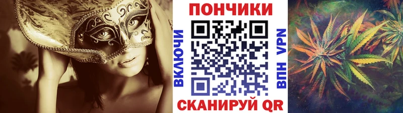 Каннабис семена  Дивногорск 