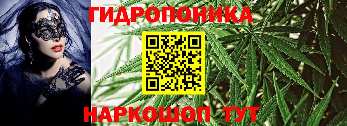 Дивногорск  Конопля тримм  МАРИХУАНА марихуана  Канабис индика  Вход с VPN 